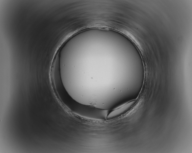 X0000094800901200712071203