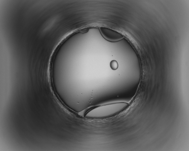 X0000094800902200712071203