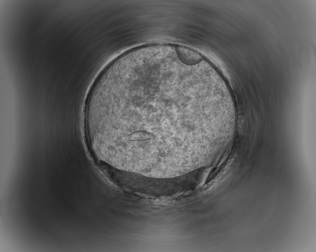 X0000094800903200712071203