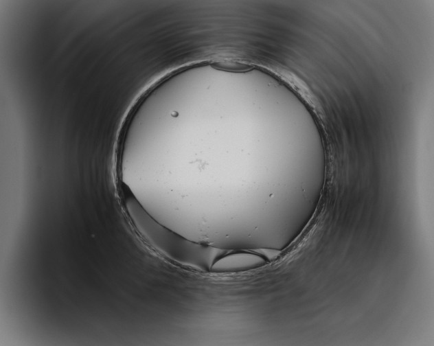 X0000094800904200712071203