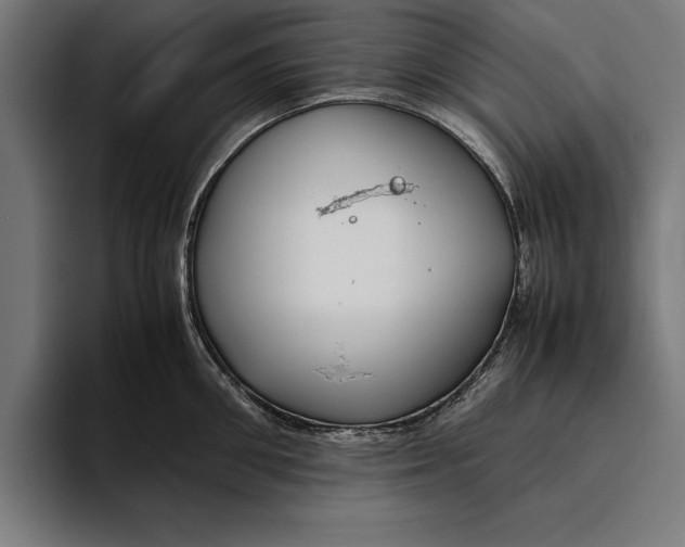 X0000094800906200712071203