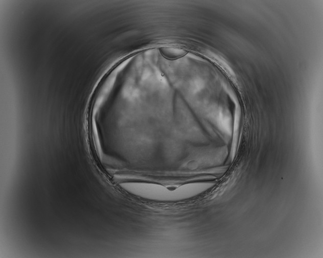 X0000094800907200712071203