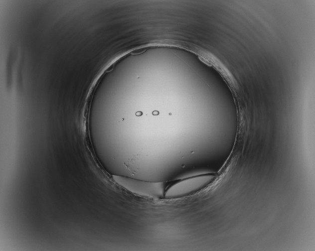 X0000094800908200712071203