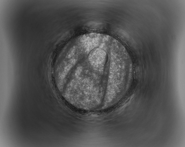 X0000094800913200712071202