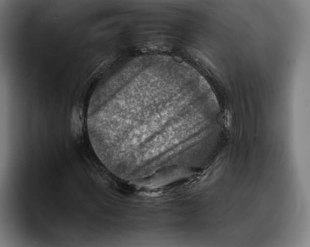 X0000094800915200712071202