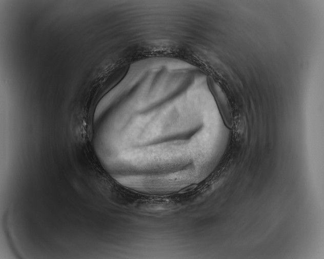 X0000094800916200712071202