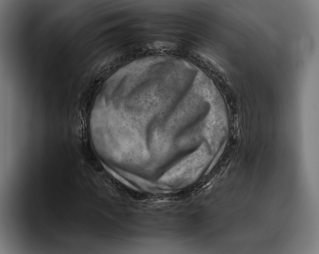 X0000094800917200712071202