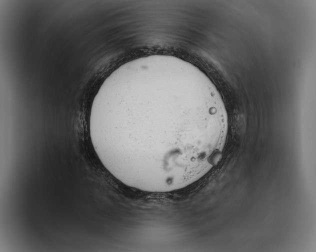 X0000094800918200712071202