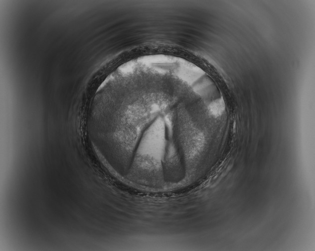 X0000094800919200712071202