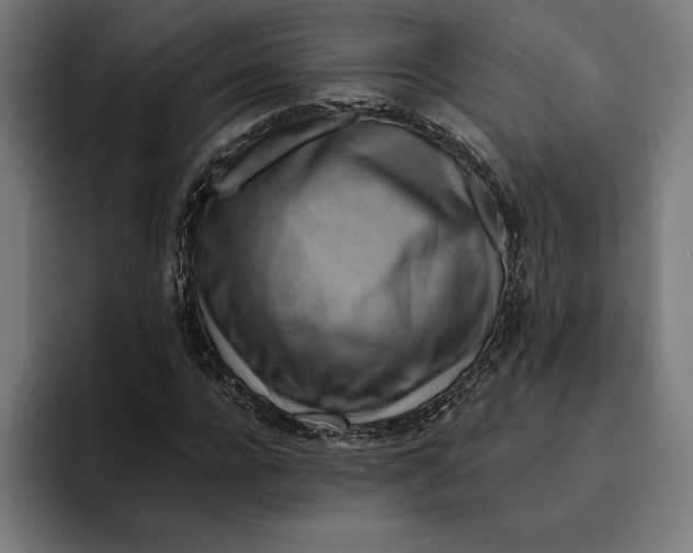 X0000094800920200712071202