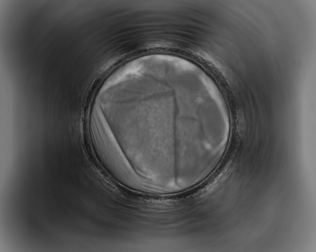 X0000094800921200712071202