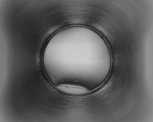 X0000094800922200712071202