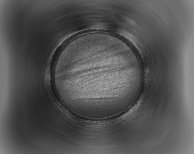 X0000094800923200712071202