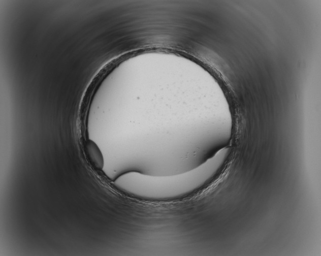 X0000094800924200712071202