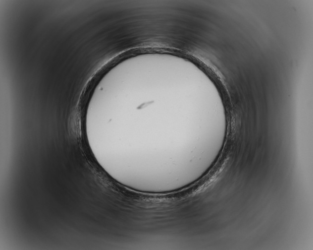 X0000094800925200712071202