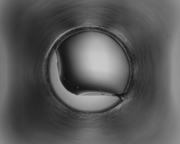 X0000094800926200712071202