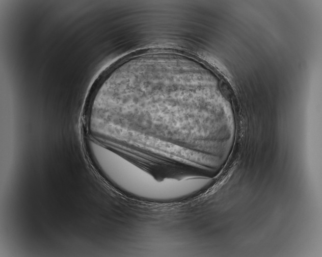 X0000094800928200712071202