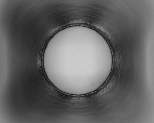 X0000094800929200712071202