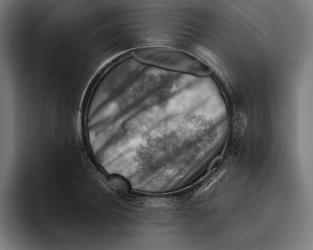 X0000094800932200712071202