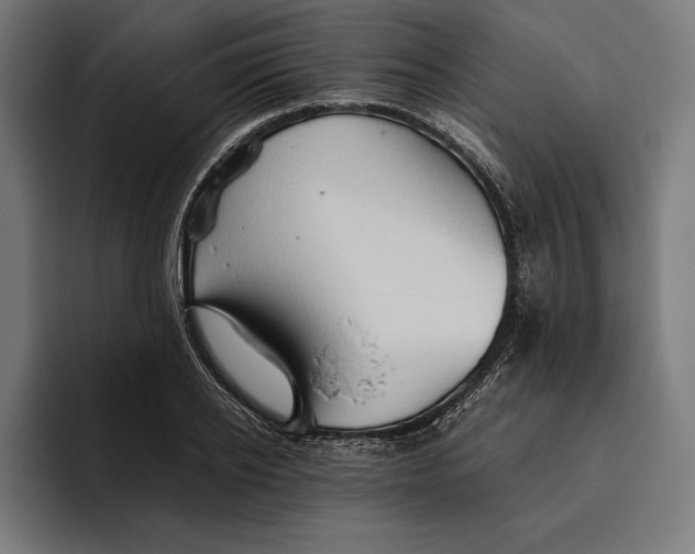 X0000094800934200712071202