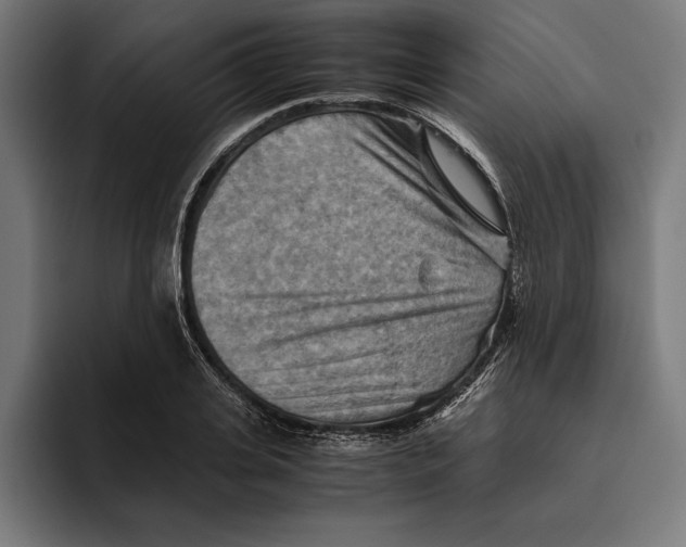 X0000094800935200712071202