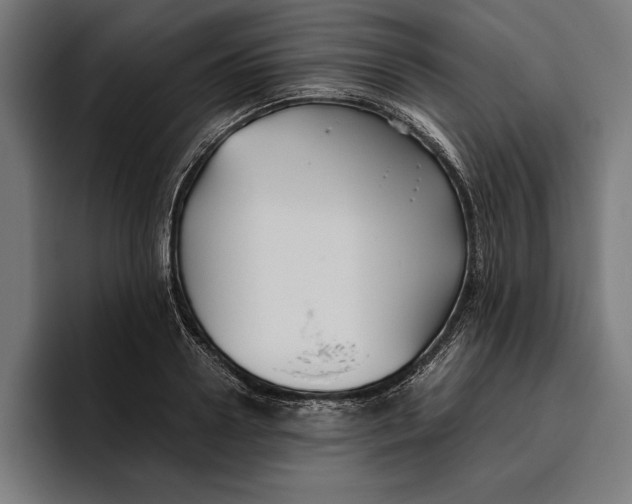 X0000094800938200712071202