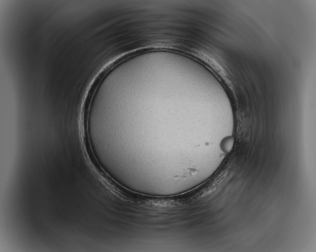 X0000094800939200712071202