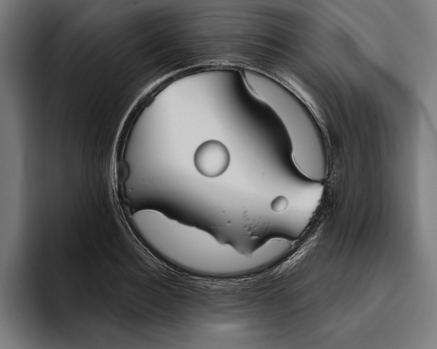 X0000094800940200712071202