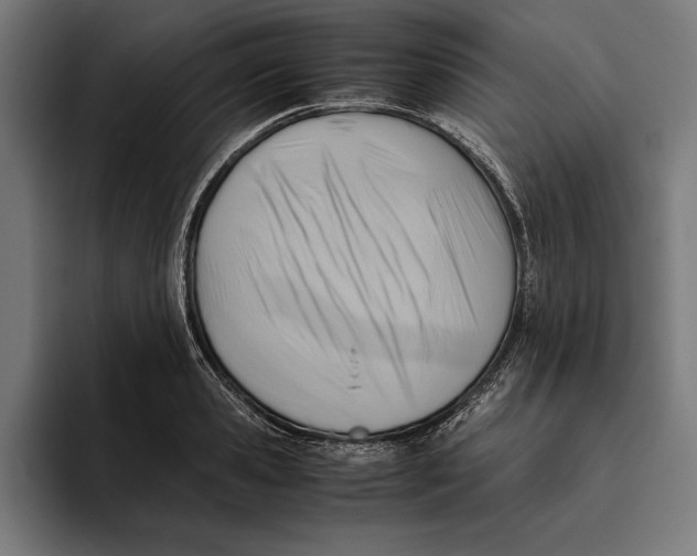 X0000094800941200712071202