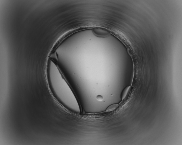 X0000094800942200712071202