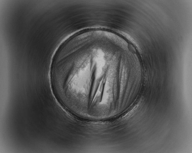 X0000094800943200712071202