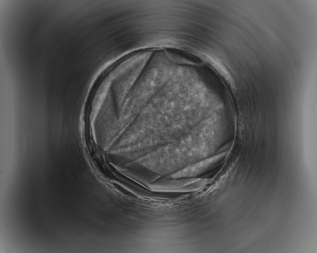 X0000094800944200712071202