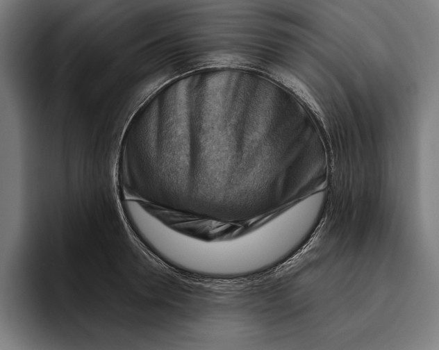 X0000094800946200712071202