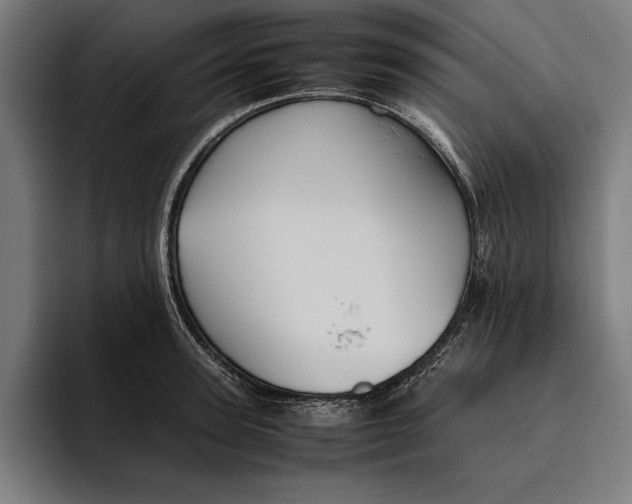 X0000094800947200712071202