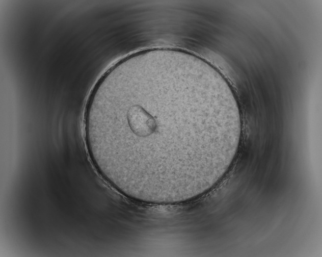 X0000094800950200712071203