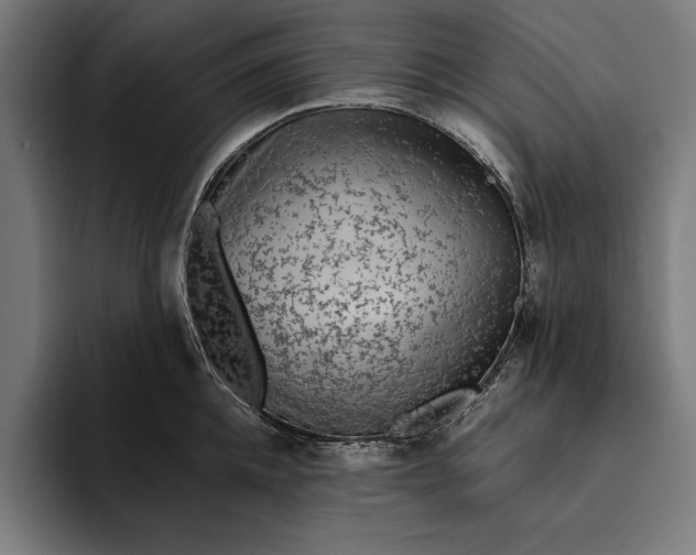 X0000094800952200712071203