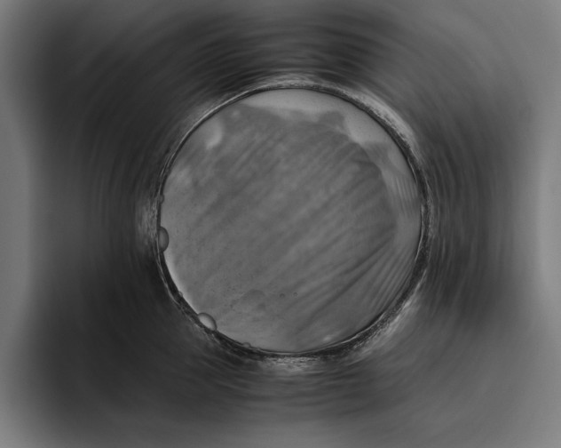 X0000094800953200712071203