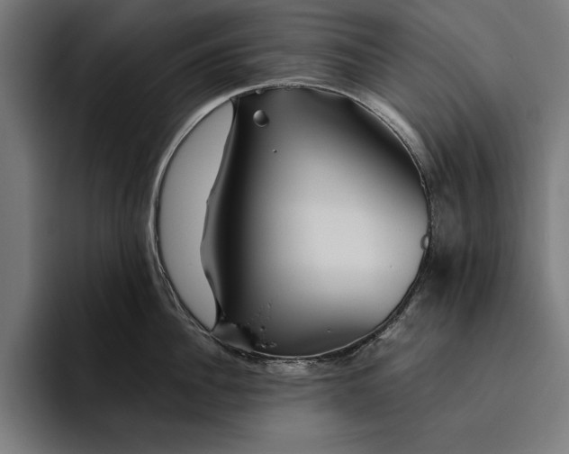 X0000094800956200712071203