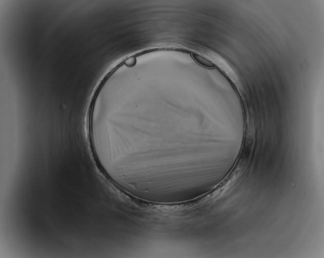 X0000094800958200712071203