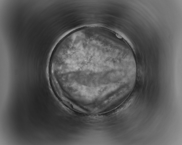 X0000094800959200712071203