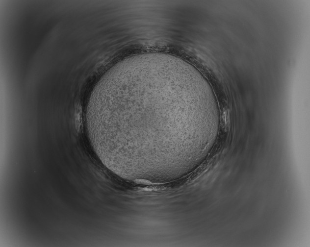 X0000094800963200712071202