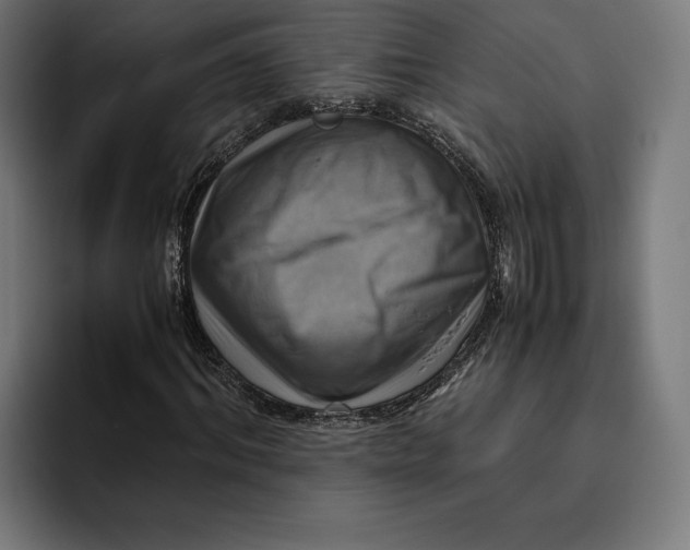 X0000094800964200712071202