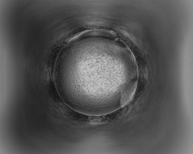 X0000094800965200712071202