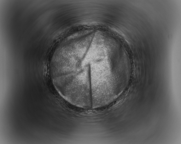 X0000094800966200712071202