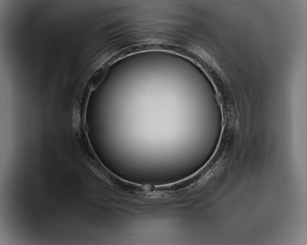 X0000094800969200712071202