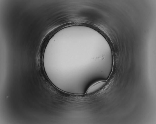 X0000094800971200712071202