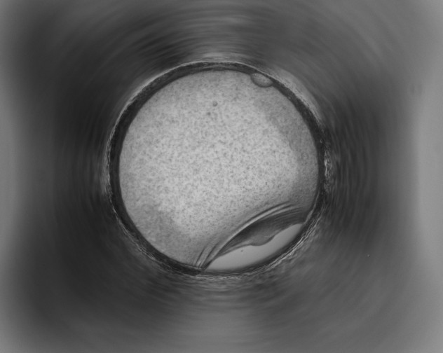 X0000094800972200712071202