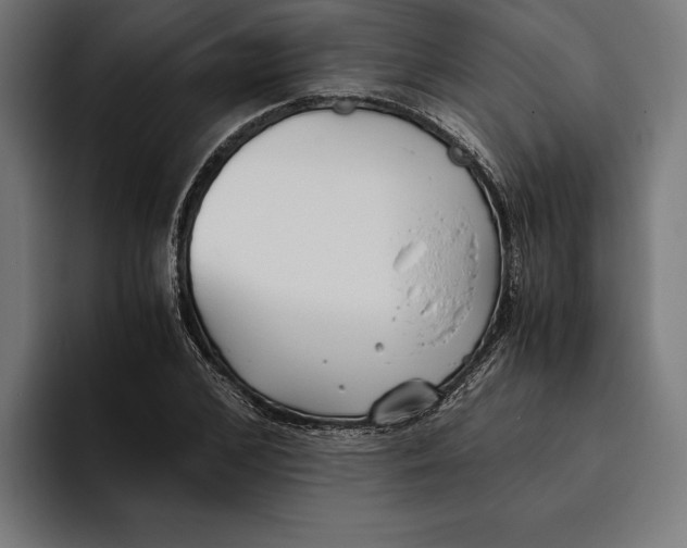 X0000094800976200712071202