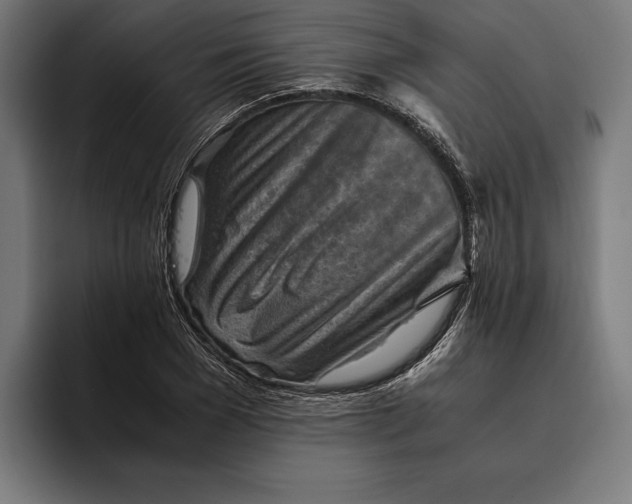 X0000094800977200712071202