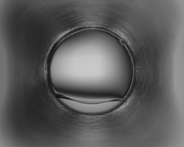 X0000094800981200712071202